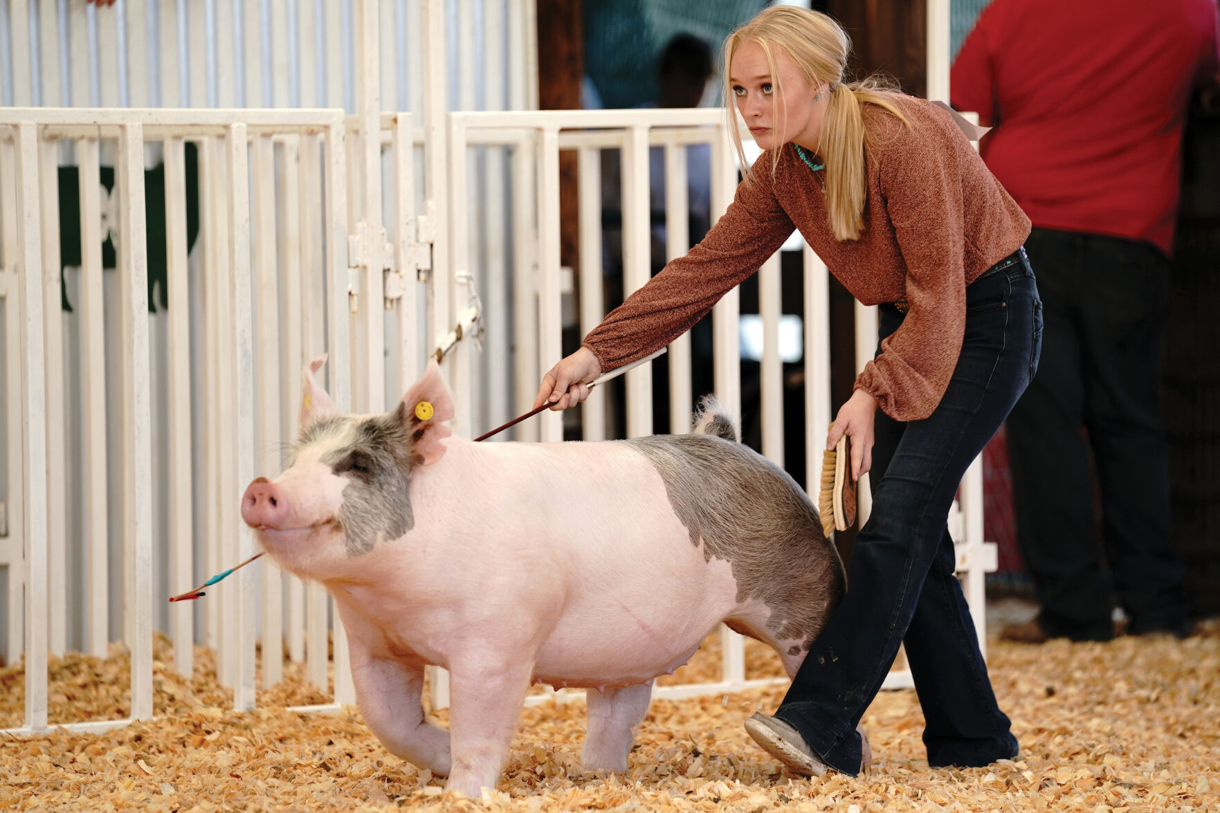 SCF Swine Showmanship Standalones 001.jpg